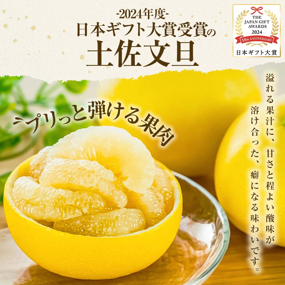 【日本ギフト大賞2024受賞】【先行予約】文旦 大玉3kg（3L～2
