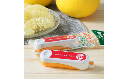 秀品 ☆高知産土佐文旦☆２L８玉入【贈答用】