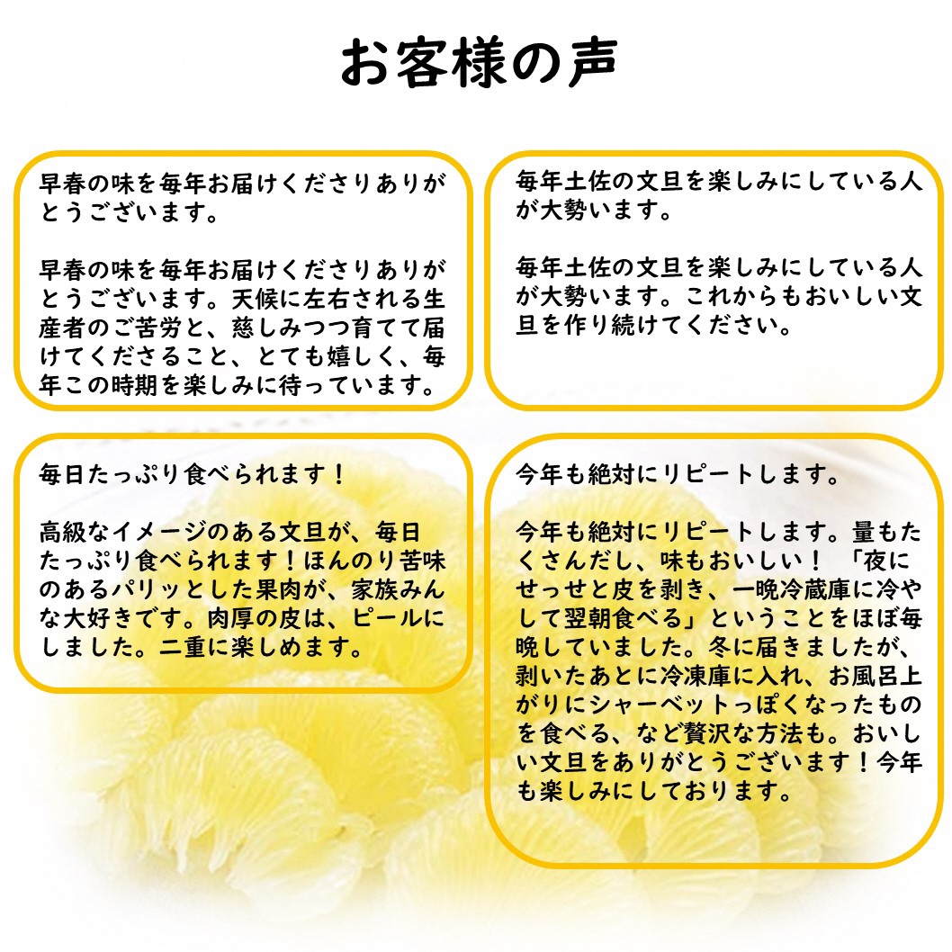 生産者直送　土佐文旦9.5kg[2L～4L]家庭用 ぶんたん ブンタン 