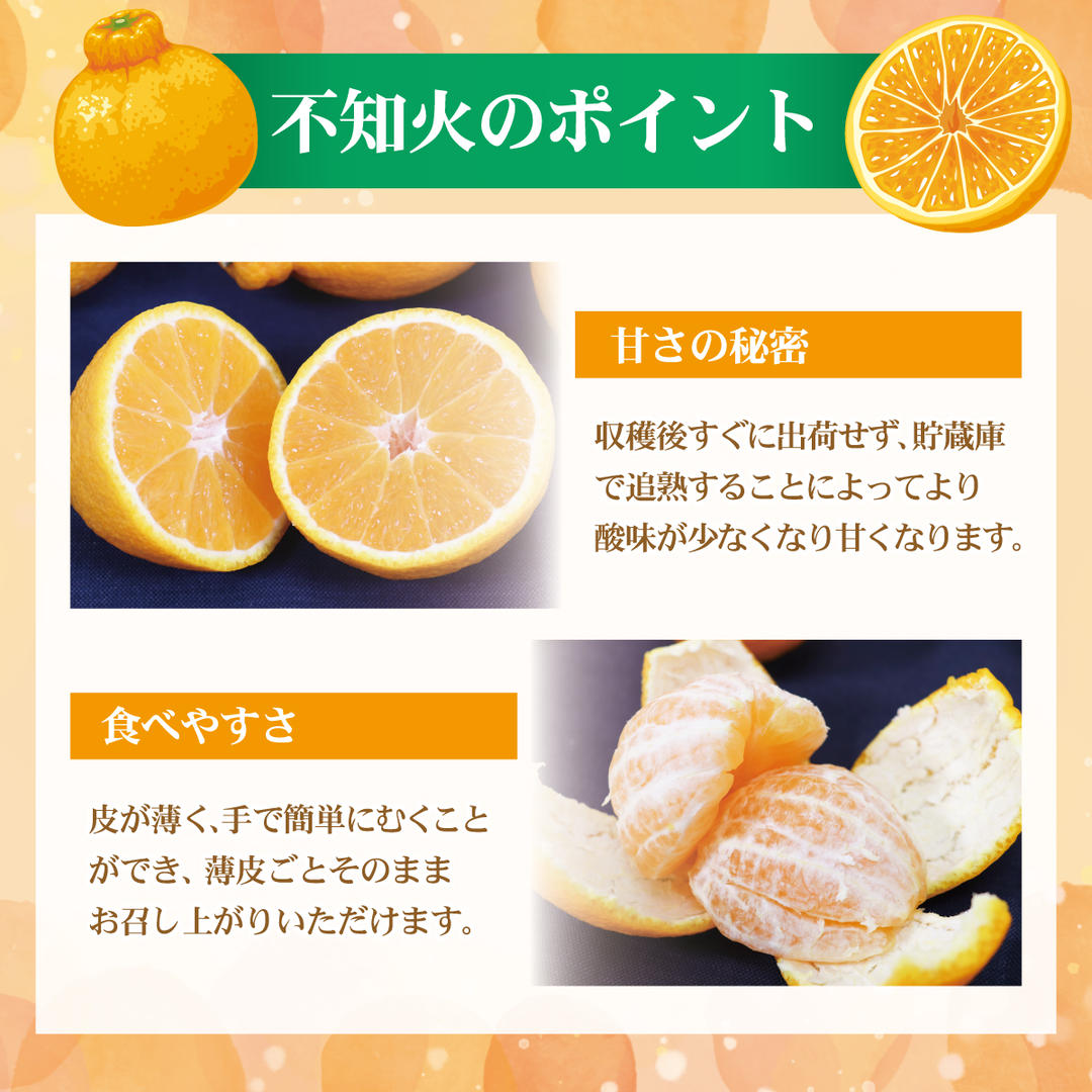 土佐の温室不知火（しらぬい）約3kg みかん 柑橘 フルーツ 