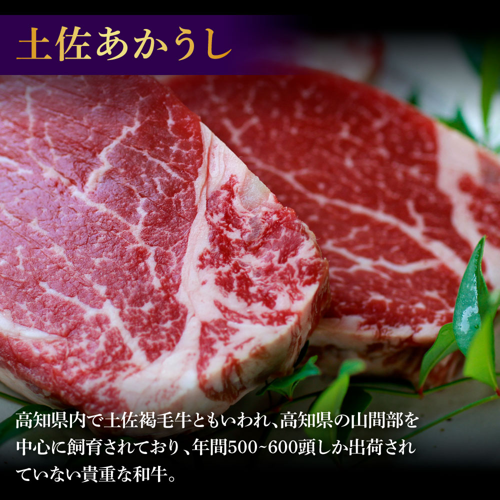 土佐和牛特選ヒレ肉200ｇ 特製ソース２種類付【ステーキ用