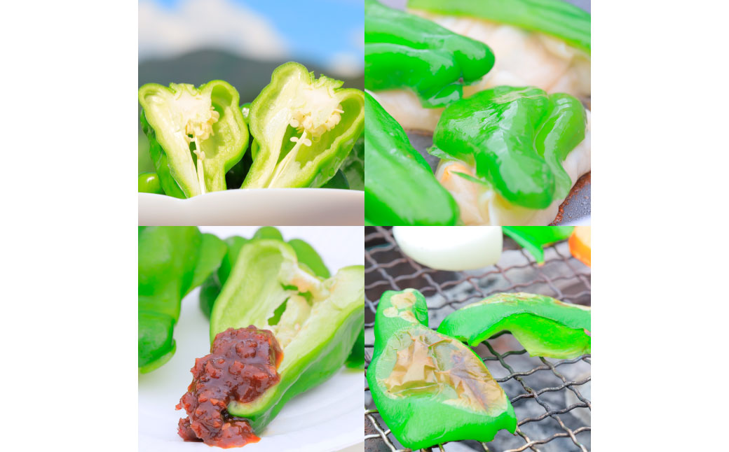 高知県産 植田ファームのこだわりピーマン 1kg ピーマン 新