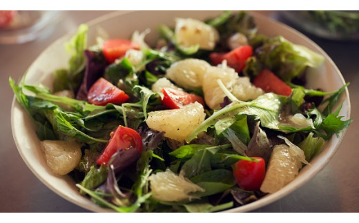 【土佐野菜】旬の野菜の詰め合わせと栽培期間中に農薬不