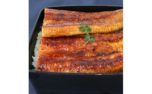 【数量限定】仁淀川特大肉厚うなぎ4尾セット タレ付き 