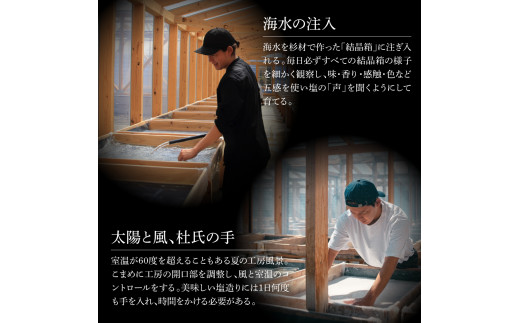 銀象ソルト Ginzo-Salt 星屑ソルト 100g×２個セット 合計200g 