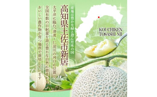 先行予約 メロン ２玉入り（1玉約1.4kg～1.8kg）青肉 2025年冬