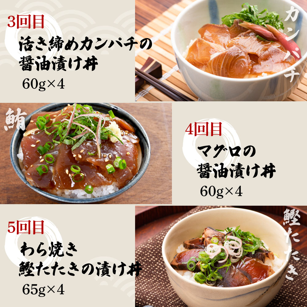 【5回定期便】土佐の海鮮丼セット（ブリ・タイ・カンパチ