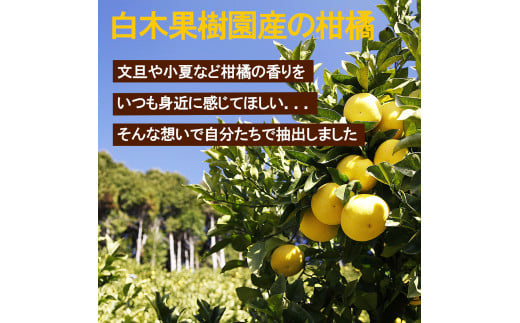 土佐文旦 エッセンシャルオイル 10ml 文旦 アロマオイル 精