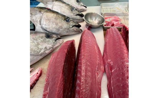 天然マグロ ブロック 約450～550g 4～6人前 まぐろ 鮪 魚 さか