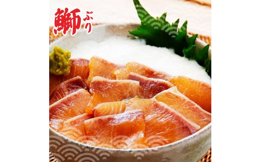 土佐の海鮮丼食べくらべセット（ブリ・タイ・サーモン・