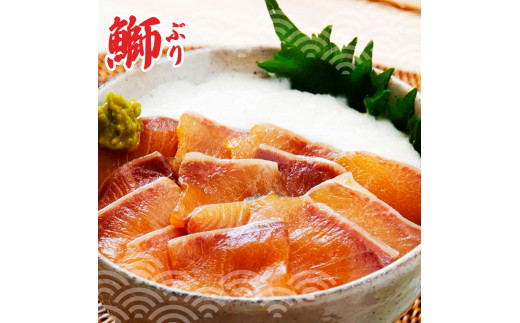 土佐の海鮮丼食べくらべセット（ブリ・タイ・サーモン・