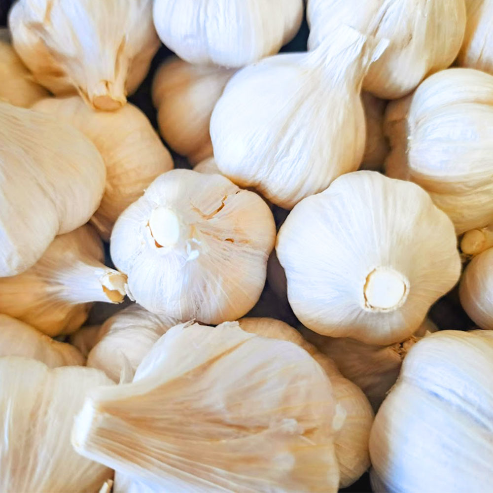 植田ファームの自然乾燥にんにく800g 800グラム ニンニク ガ