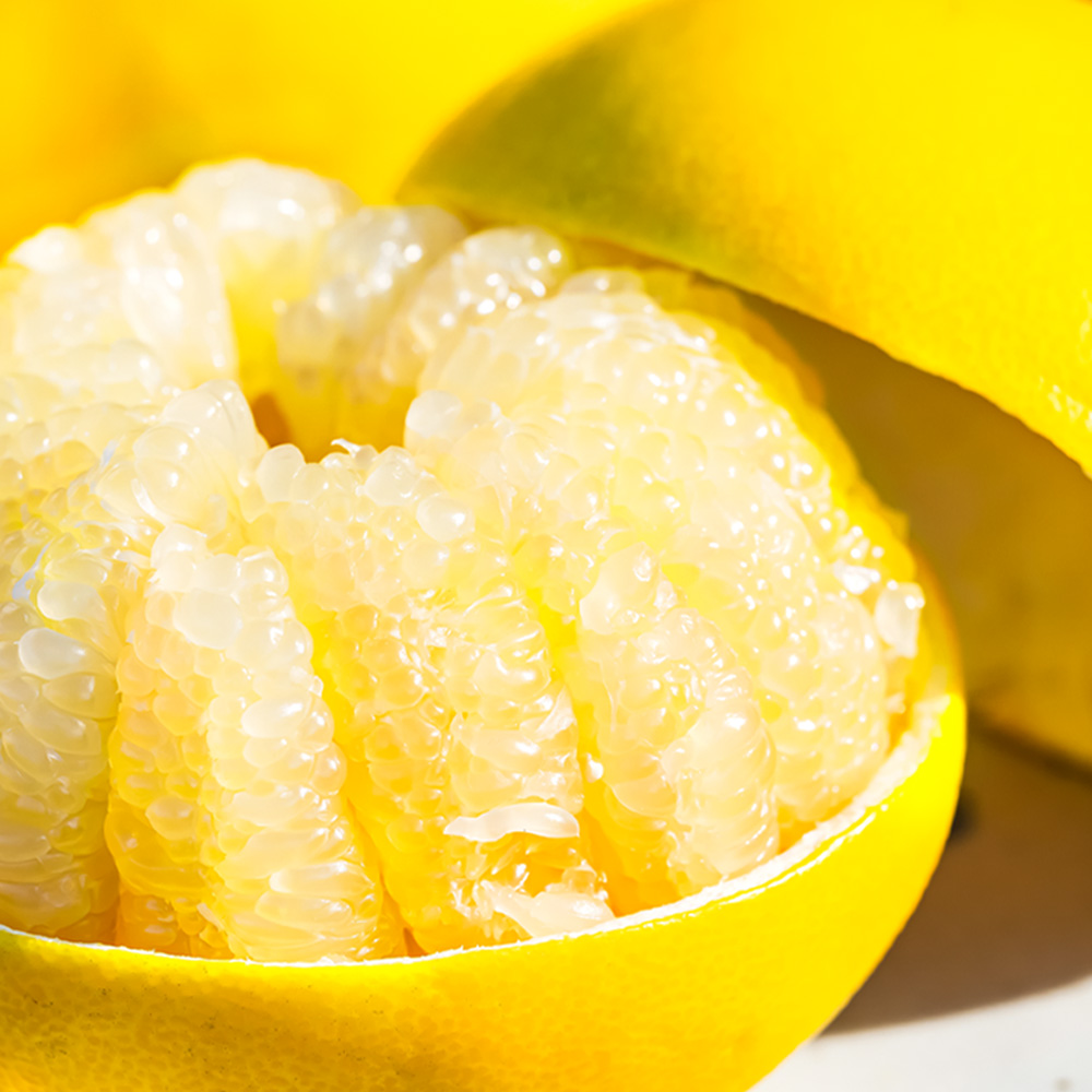 温室土佐文旦 ブンタン ぶんたん 特選 約3kg 約3キロ 5～6個 2