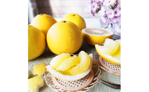 ふるさと納税 土佐市 マルツジ果樹園の土佐文旦 家庭用 特大 4L