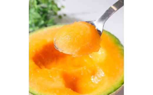 高級土佐アールスメロン2玉入り メロン めろん 赤白セット 