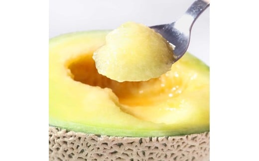 高級土佐アールスメロン2玉入り メロン めろん 白玉セット 