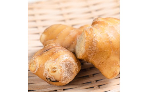 囲生姜 2kg 2キロ しょうが ショウガ 新鮮野菜 野菜 お取り寄