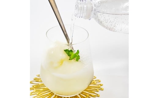 文旦アイス 12個入り 1個110ml ブンタン ぶんたん フルーツ 果