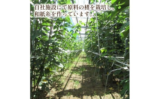 楮絲タペストリー Sサイズ インテリア おしゃれ 壁掛け 和