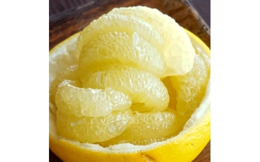 白木家のこだわり土佐文旦 露地 文旦 約8kg 13～20個入り L～3