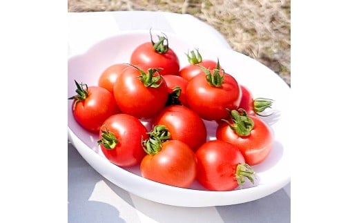 ハッピーマン＆完熟トマトセット 1kgセット 1キロセット ピ