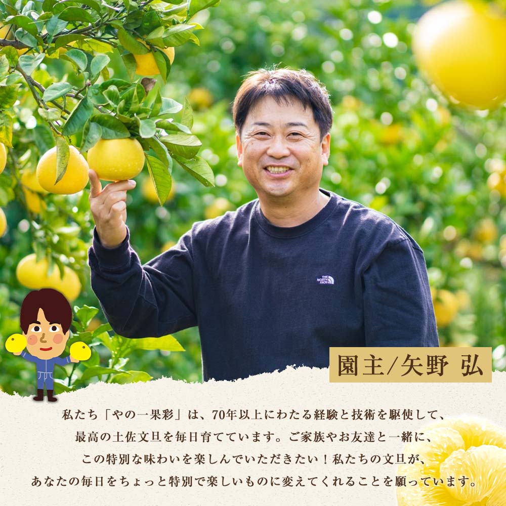 【日本ギフト大賞2024受賞】【先行予約】文旦 大玉10kg（3L～