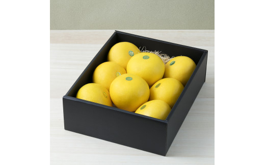 秀品 ☆高知産土佐文旦☆２L８玉入【贈答用】