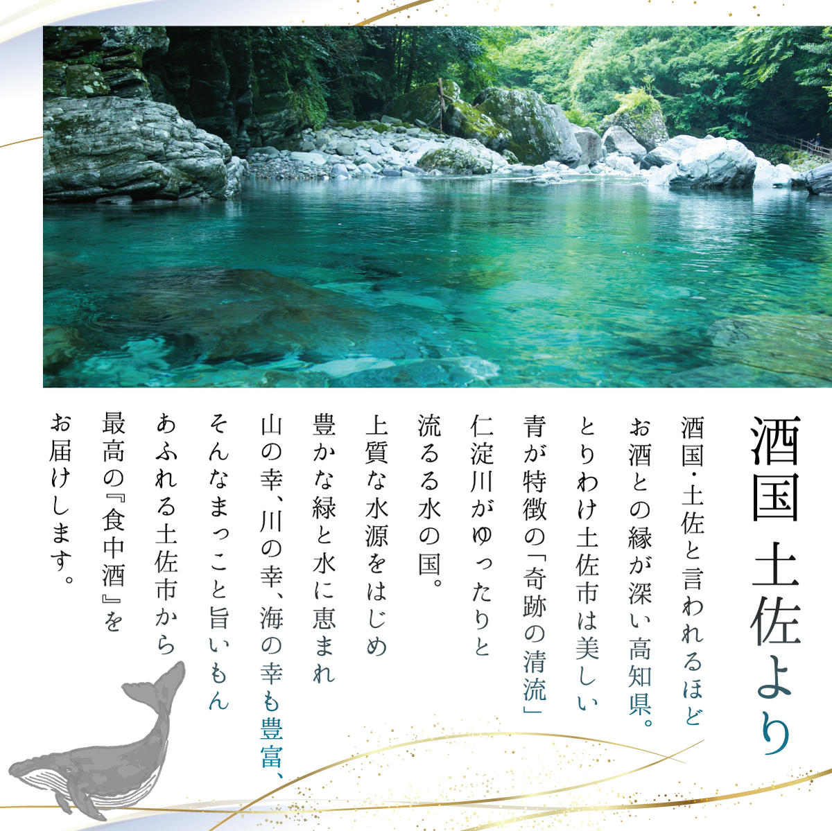 【数量限定】酔鯨 純米大吟醸 DAITO 2025 720ml×1本 酔鯨 純米大