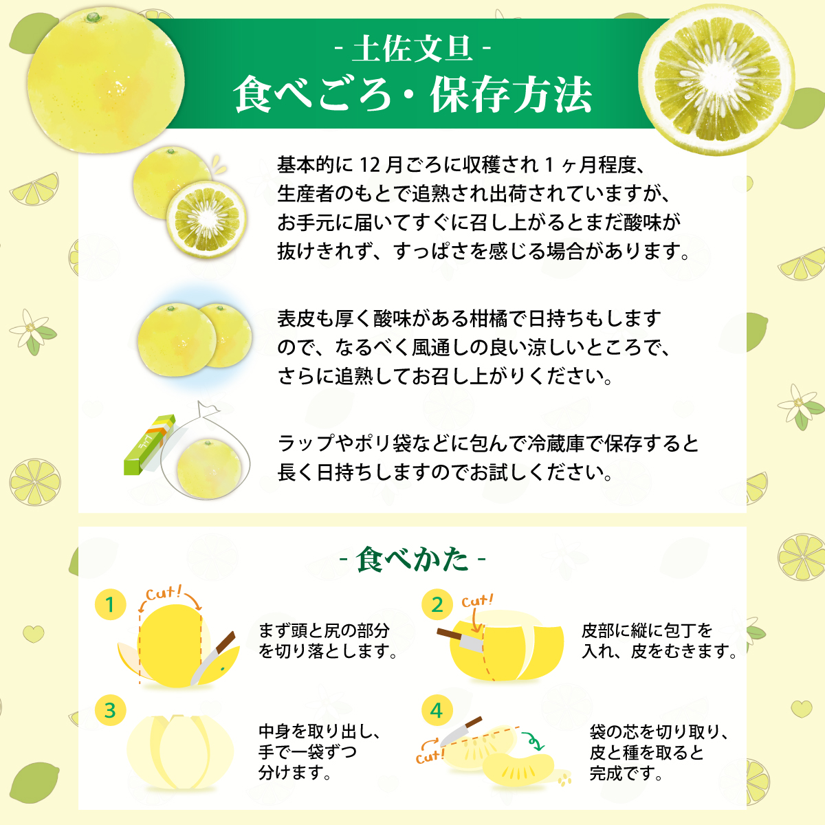 土佐文旦と温室不知火(シラヌイ)の詰め合わせ 約3kg セット 