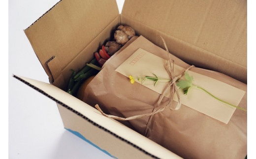 旬の朝採れ土佐野菜詰め合わせ(10～13品目)【土佐市】旬の