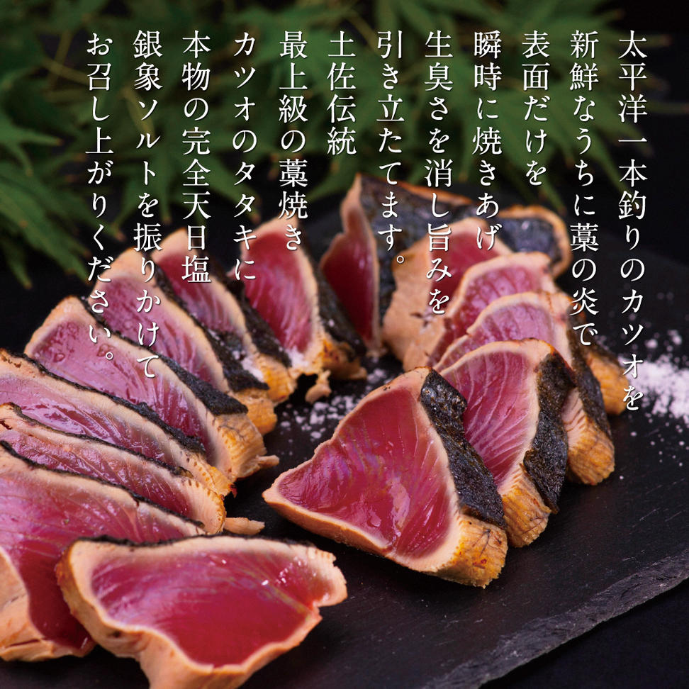 土佐厳選１本釣りわら焼き「田野屋銀象シリーズ　極カツ