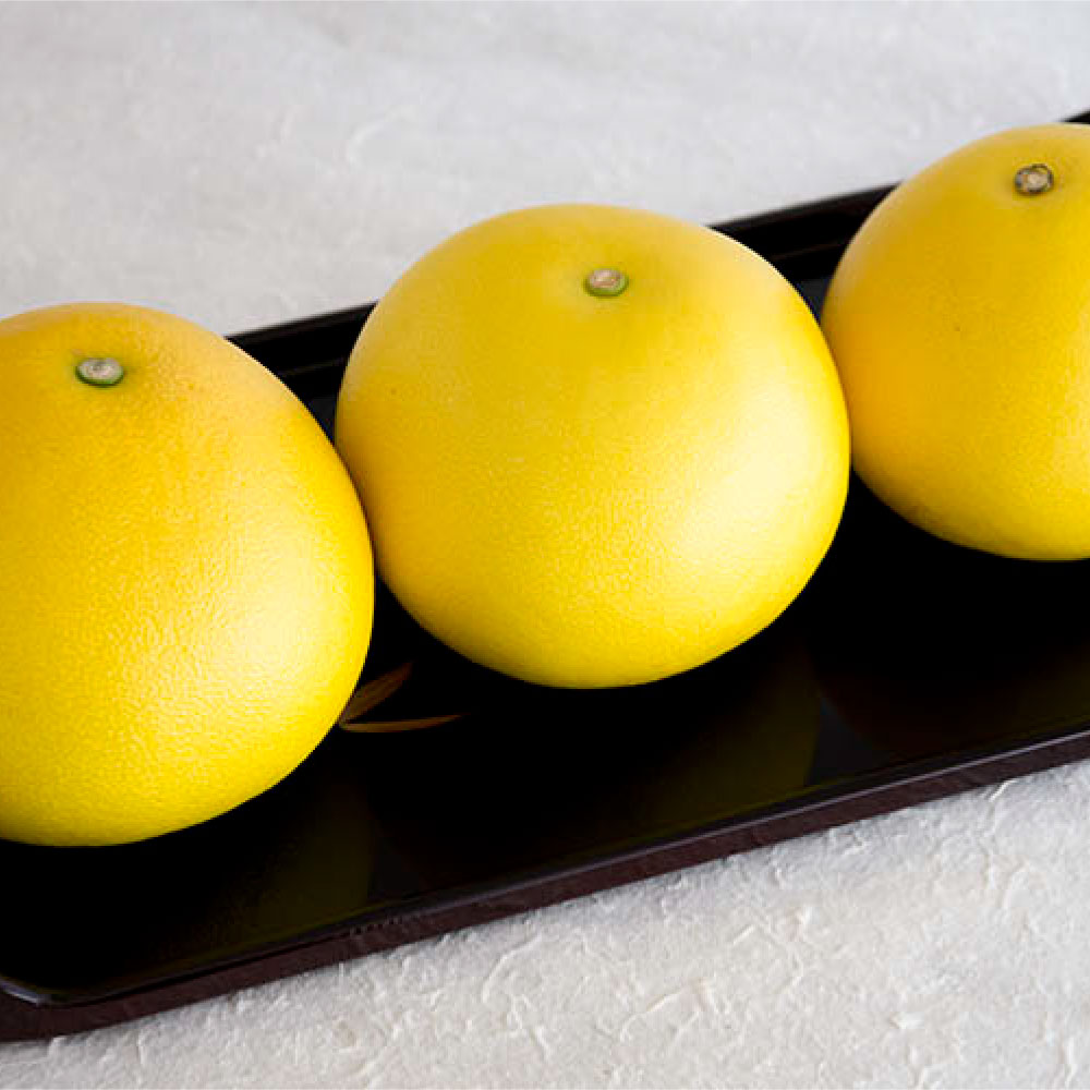 土佐文旦特大(3L・4L)サイズ10kg  