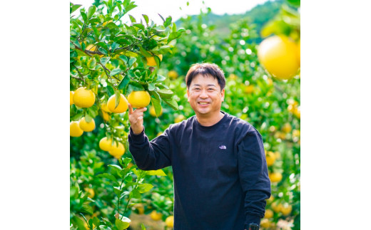 【日本ギフト大賞2024受賞】先行予約 園主こだわり土佐文旦