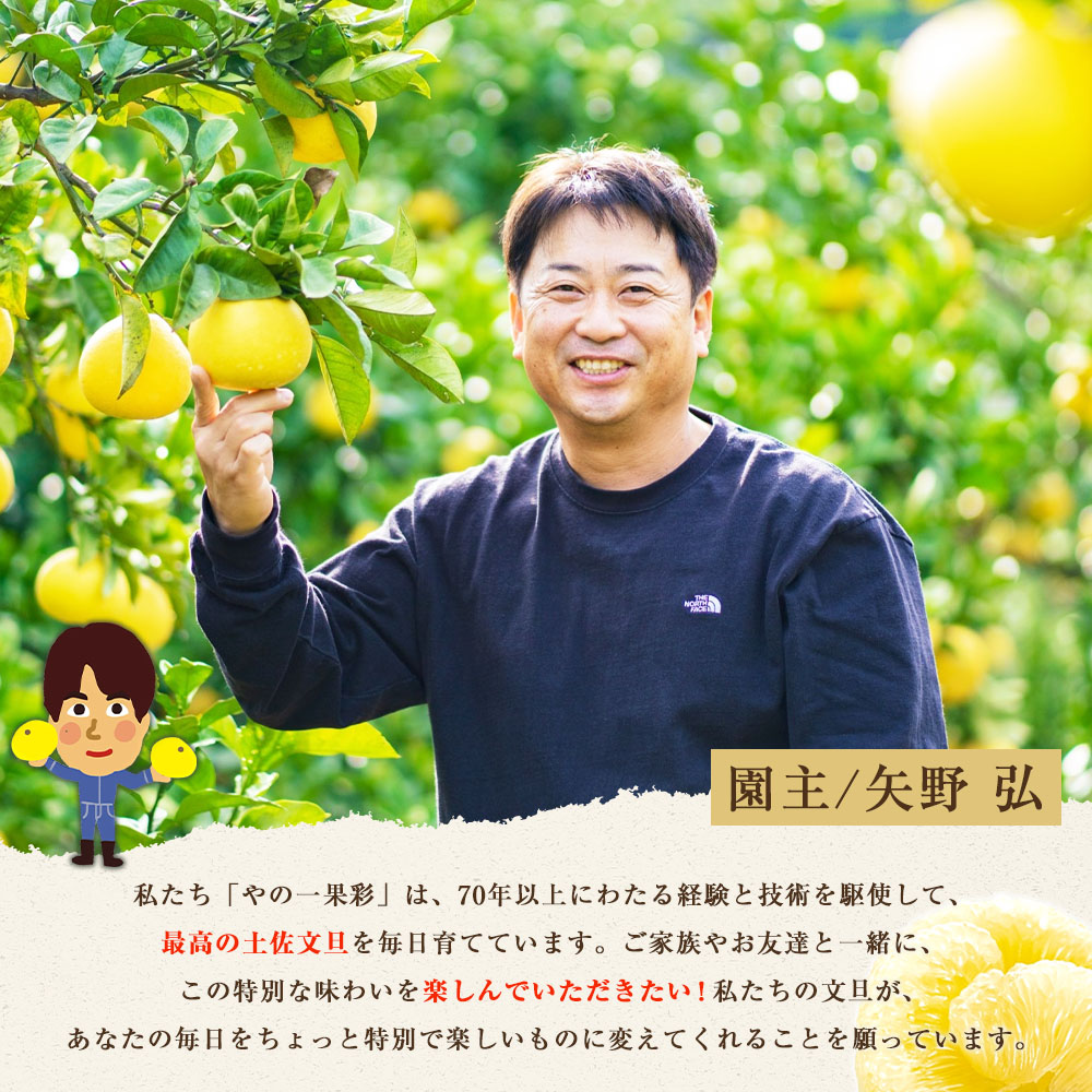 【日本ギフト大賞2024受賞】園主こだわりの土佐文旦 7キロ 