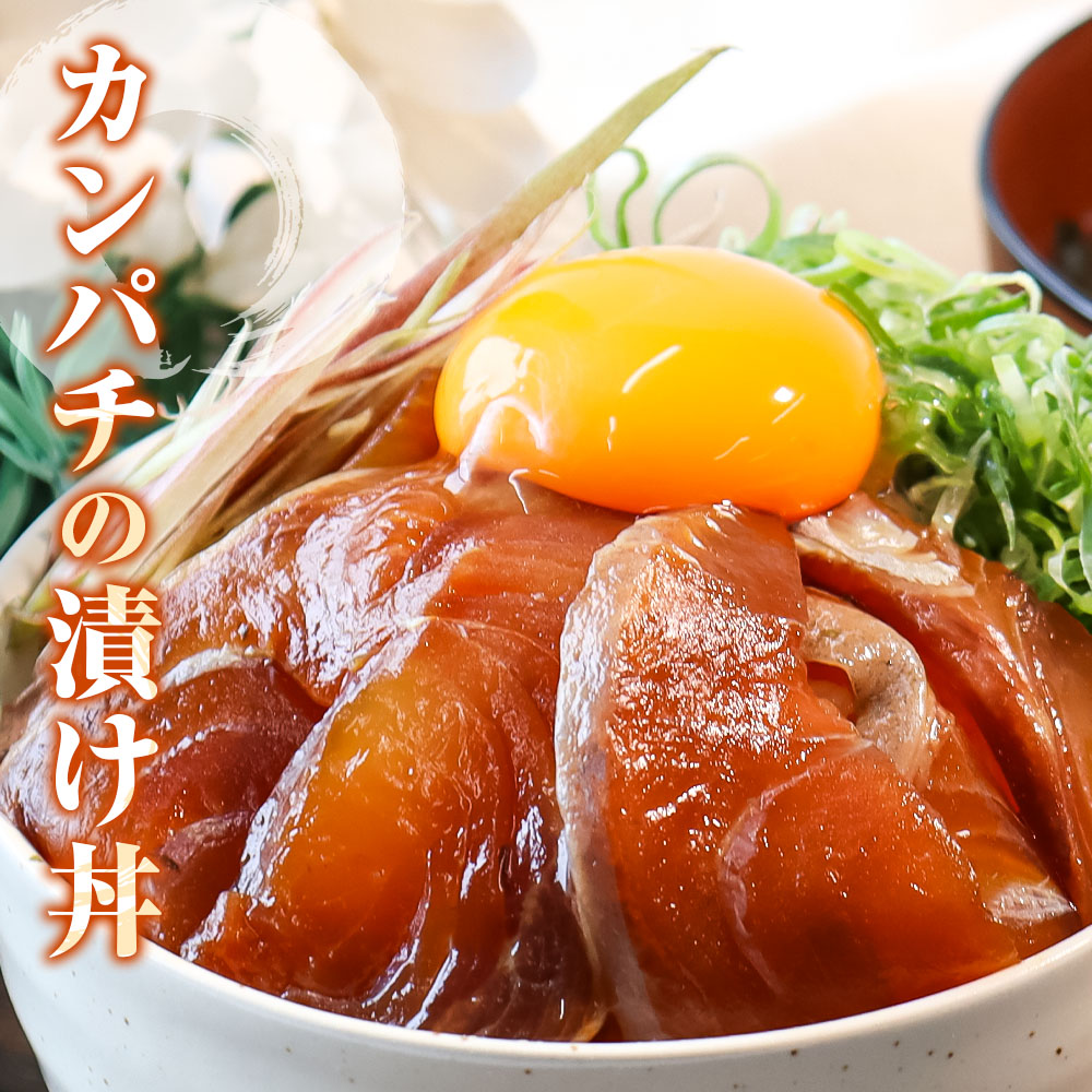 訳あり海鮮漬け丼（タイ6P・カンパチ4P）セット 漬け丼 漬
