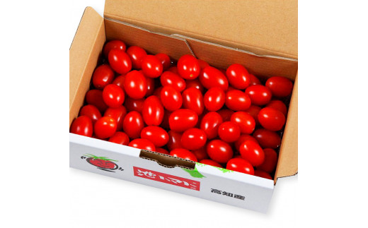 ＜2026年1月下旬より発送＞あまいこトマト 約1kg トマト ミニ