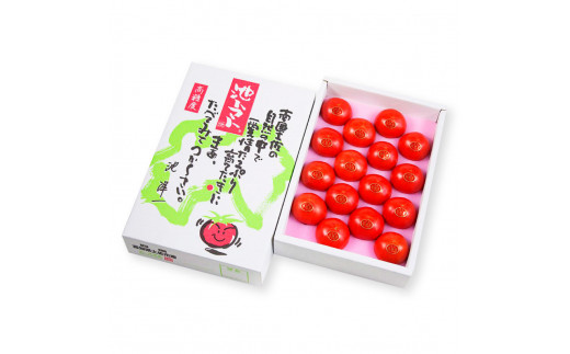 ＜2026年1月下旬より発送＞フルーツトマト特選ギフト約800g 