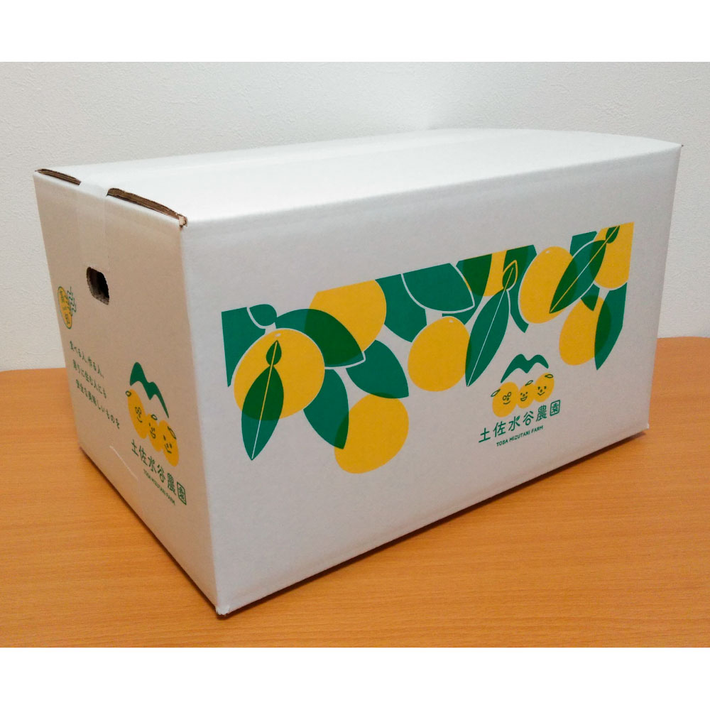 本場、高知県土佐市産！土佐水谷農園の露地土佐文旦 約5キ