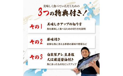 ＜6回定期便＞違いの分かる鮮魚店店長が送る 高知のお魚定