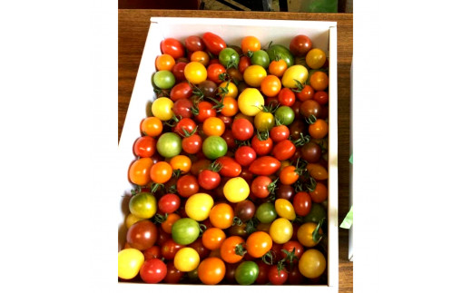 カラフルミニトマトの宝石箱 （約2kg） トマト ミニトマト 