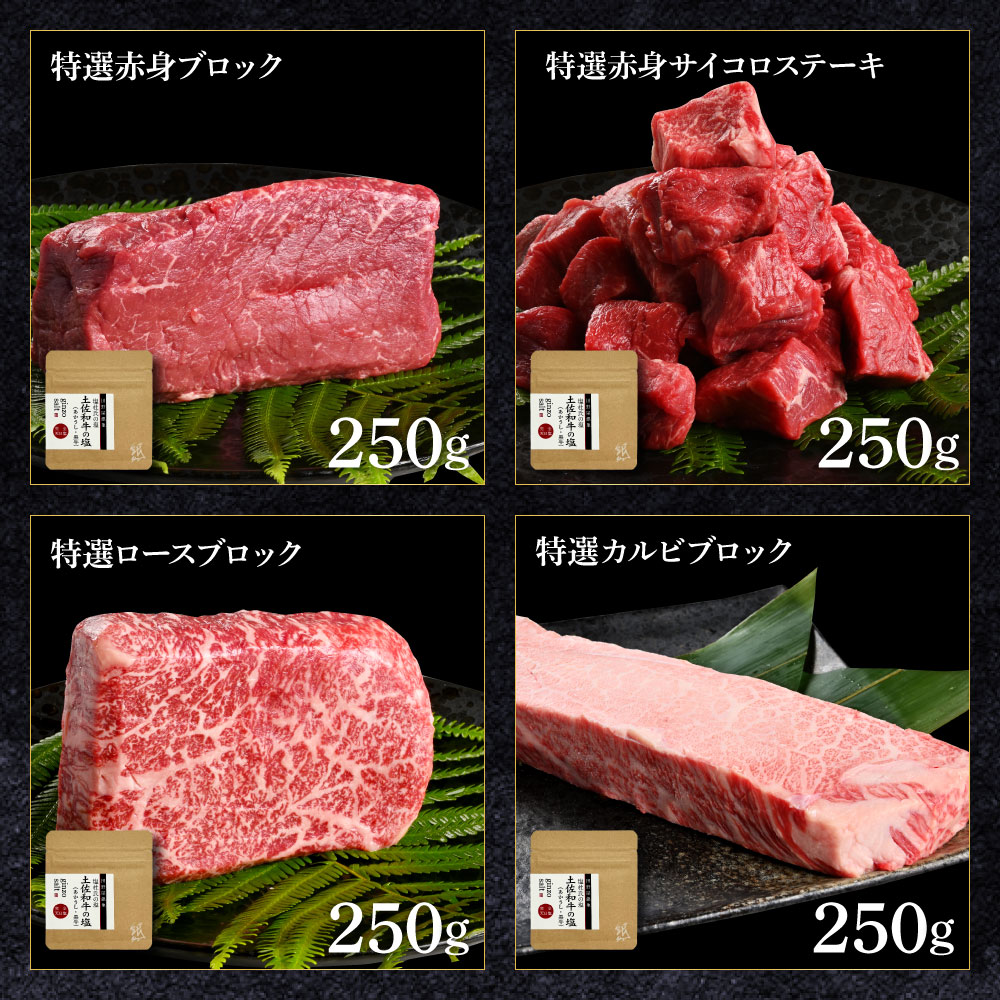 土佐和牛詰め合わせ6種 長期熟成肉 6種 詰め合わせ セット 