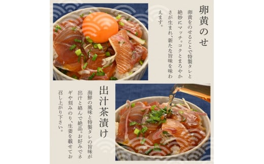 【12回定期便】訳あり土佐の海鮮漬け丼（5種×各2袋）セッ