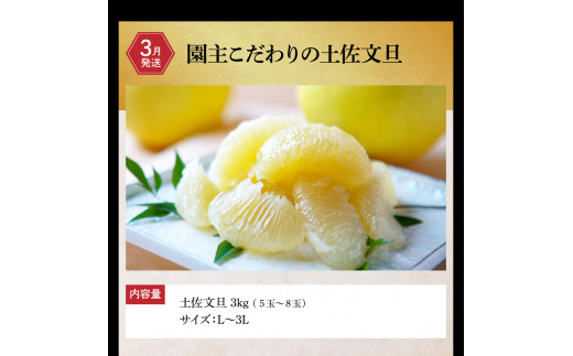 土佐市まるごとセット3回コース(ハヤシの花ダブル30ロール