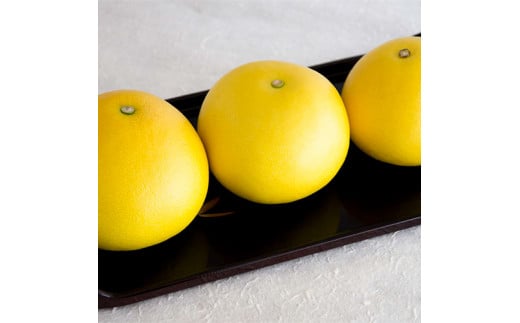 土佐文旦特大(3L-4L) サイズ4.5kg 大玉 ぶんたん ブンタン 果物