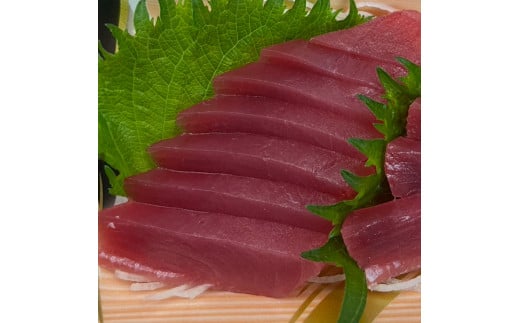 天然マグロ ブロック 約450～550g 4～6人前 まぐろ 鮪 魚 さか