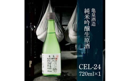 土佐のひとりでおきゃくセット（お試し生鰹タタキコース