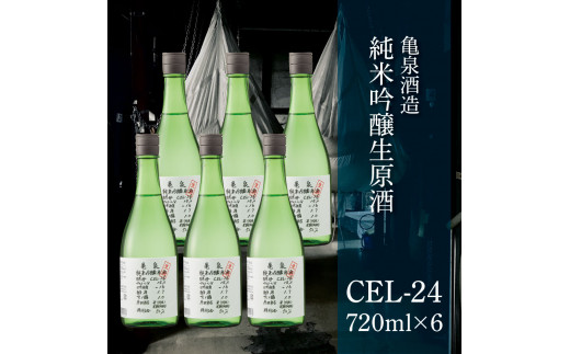 土佐のみんなでおきゃくセット（大満足生鰹タタキコース