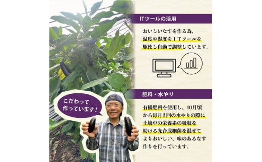 森田さんちの土佐市産お竜なす 訳あり 約2.5kg 2.5キロ 29～34