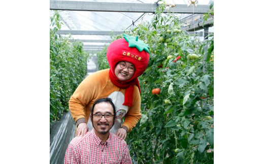 訳あり 赤いミニトマトの宝石箱 約1キロ 約1kg トマト とま