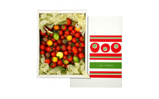 カラフルミニトマトの宝石箱 約1キロ 定期便3ヶ月 約1kg ト